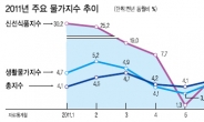 신선식품發 물가폭탄…하반기가 더 걱정