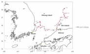 GPS 단 새끼 바다거북 두마리 …태풍에도 살아 남았다