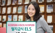 하나대투證, 월지급식 ELS 2종 모집