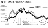 화학株 효성 “이번엔 내가 제일 잘 나간다”