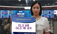 KDB대우證, ELS 8종 DLS 1종 공모