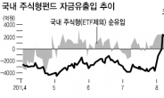 롤러코스터 장세…기관 행보를 주시하라