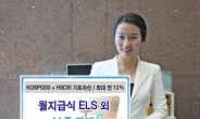 신한금융투자, 원금보장형 등 ELS 11종 판매