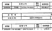 영구아트 국고보조금 부당사용