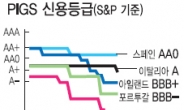 신흥국 도미노강등땐 증시 대혼란 불보듯