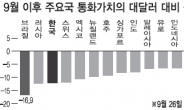 브라질 헤알화 16.9% 폭락…하지만 절망할 때는 아니다?