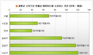 서초구에 전세한번 살아보려다 10년 걸린다