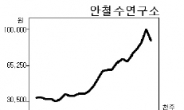 선거결과는 묻지마…널뛰는 정치 테마株