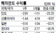 아내 몰래 묻어둔 태국·동남아펀드 괜찮을까?