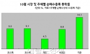 10월 반등장, 개미들 또 낭패…시장수익률 절반에 그쳐