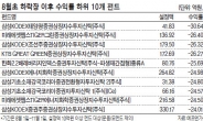 평균수익률 -12%…위험 방어 ‘속수무책’