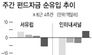 <글로벌 자금풍향계> 신흥시장 가격 매력…위험자산 다시 주목