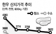 “이제 소는 누가 키우나” 축산농가 분노·허탈