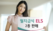 하나대투證, 월지급식 ELS 2종 모집