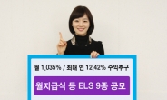 신한금융투자, 월지급식 등 ELS 9종 판매