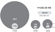 <위기를 기회로 … 한국금융그룹의 글로벌 생존전략> 카드분사·생보사 M&A…非은행 부문도‘1위 프로젝트’