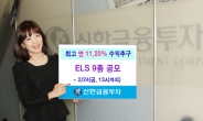 신한금융투자, 월지급식 등 ELS 9종 판매