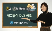 신한금융투자, 금ㆍ은 연계 월지급식 DLS 1종 판매