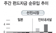 <글로벌 자금 풍향계>美등 선진증시 회복…8주만에 순유출 전환