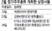 2월 주총…소액주주들의 반란은 없었다