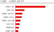 ETF 수익률은 화려하지만…‘그림의 떡’ 수두룩