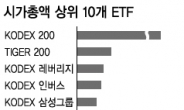 상장지수펀드 30%대 수익률에도 투자자 ‘시큰둥’