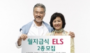 하나대투證, 월지급식 ELS 2종 모집