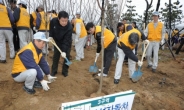 <포토뉴스> 르노삼성 ‘그린 부산 조성 나무심기’