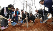 <포토뉴스>성미산 나무심기 구민들이 나섰다