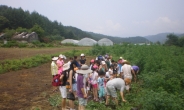 구로구 청소년, 토요일 환경체험학습 간다