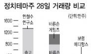 安의 귀환…文·朴테마주 움찔