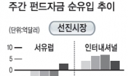 <글로벌 자금 풍향계> 美·日·서유럽 펀드로…환매자금 일부 유입