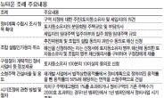 뉴타운 구조조정 활성화…일부선‘반쪽 대책’지적