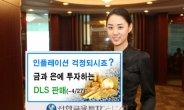 신한금융투자, 월지급식 DLS 1종 판매