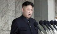 북한 김정은 최대 고민은 성병, 왜?