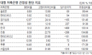 BIS·여신비율·수익성·유동성 살펴라