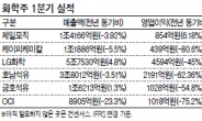 中 경기전망 불투명…화학 실적 반토막