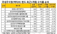 3개월째 횡보場서 ‘나홀로 웃은’ 펀드는