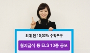 신한금융투자, 월지급식 등 ELS 10종 판매