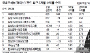 횡보장속에도 ‘나홀로 웃는’펀드 있다