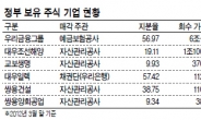 한계 드러낸 정부 회수작업…공적자금, 공짜자금 전락 우려