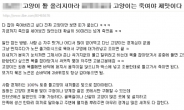 “고양이 죽여야 제맛” 인터넷 글 논란