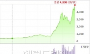 정치테마주 써니전자，주가 급등 이용해 대주주와 자회사가 지분 처분