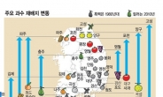 대구 사과? 제주 옥돔? 아니죠…포천 사과, 속초 옥돔…