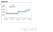 약세장 급등주, 가격거품 없나