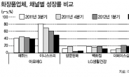 약세장에도…중저가 화장품 ‘나홀로 호황’을 찍다