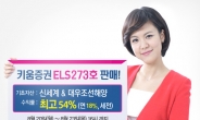 키움증권, 연 최고 18% 수익 ELS 273호 판매