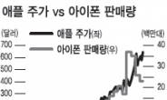 아이폰5 부품株 강세행진…지나친 기대 이르다