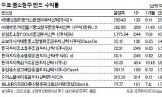 코스닥 훈풍…중소형株 펀드 주목하라