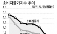 장바구니 물가 최악인데…8월 물가상승률 겨우 1.2%?